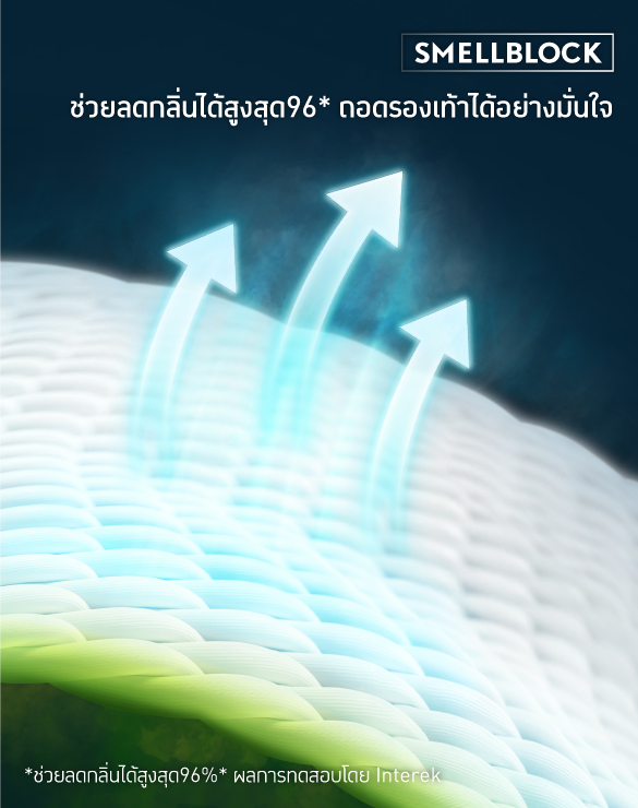 SMELLBLOCK™ Socks Every Day No Show Collection [Buy 3 get 2]