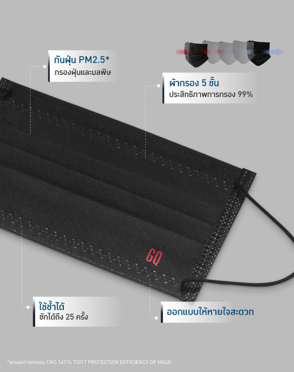 GQ PROTECTION PM 2.5  2-Pack