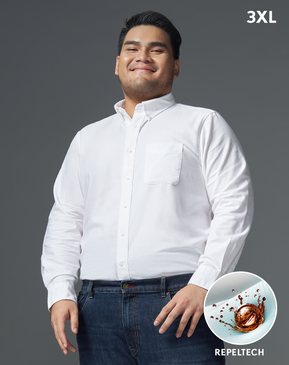 GQ Bear Size  Oxford shirt™