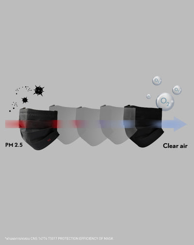 GQ PROTECTION PM 2.5  2-Pack