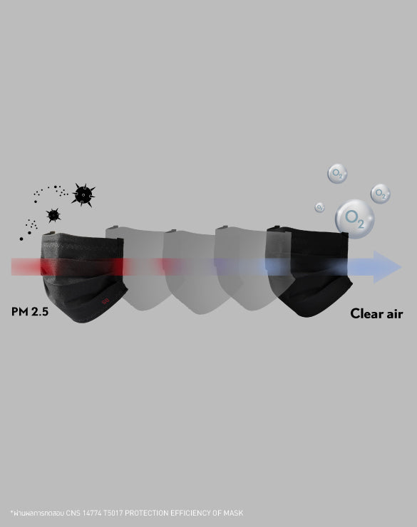 GQ PROTECTION PM 2.5  2-Pack