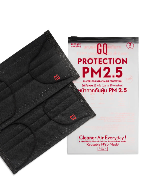 GQ PROTECTION PM 2.5  2-Pack